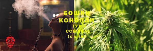 МДПВ Лиски