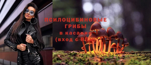МДПВ Лиски