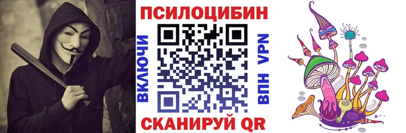 Псилоцибиновые грибы прущие грибы  ссылка на мегу ссылки  Новочеркасск 