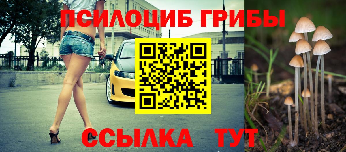 Псилоцибиновые грибы мухоморы Новочеркасск