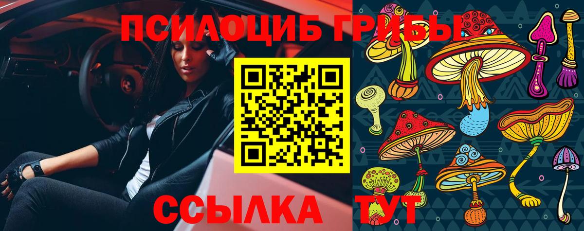 Галлюциногенные грибы ЛСД  Галлюциногенные грибы мухоморы  Новочеркасск  Вход с VPN 